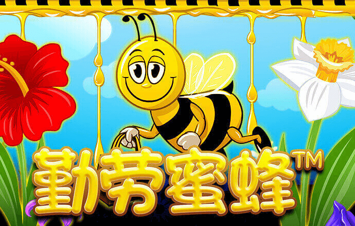 金宝搏体育app官网